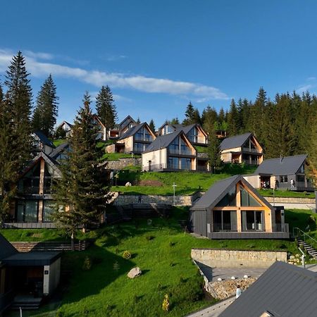 Skogur - Home & Resort Bukovel Dış mekan fotoğraf